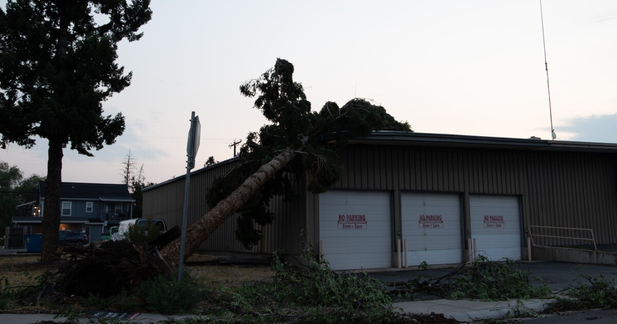 PHOTOS: Western Montana storm damage