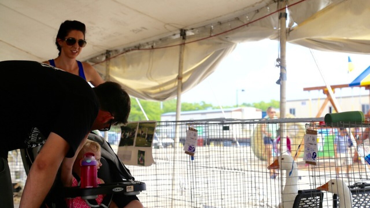 The 174th Waukesha County Fair comes to a close