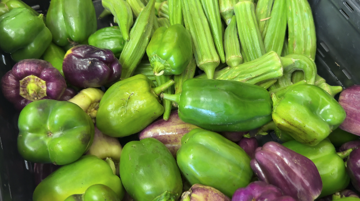 KC Farm School produce