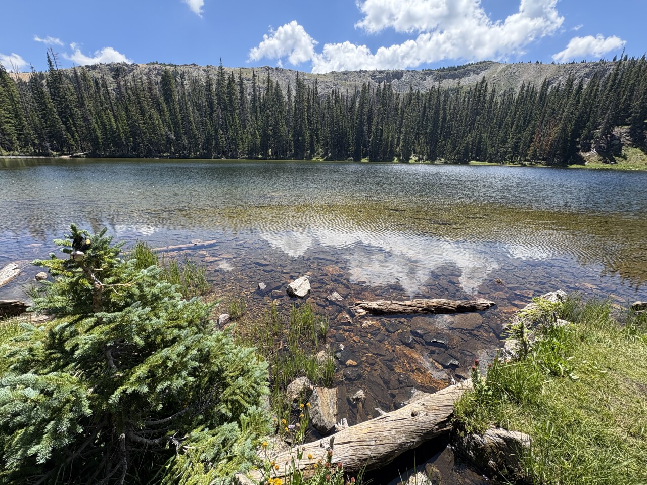 Lake Evelyn_Deb Stanley