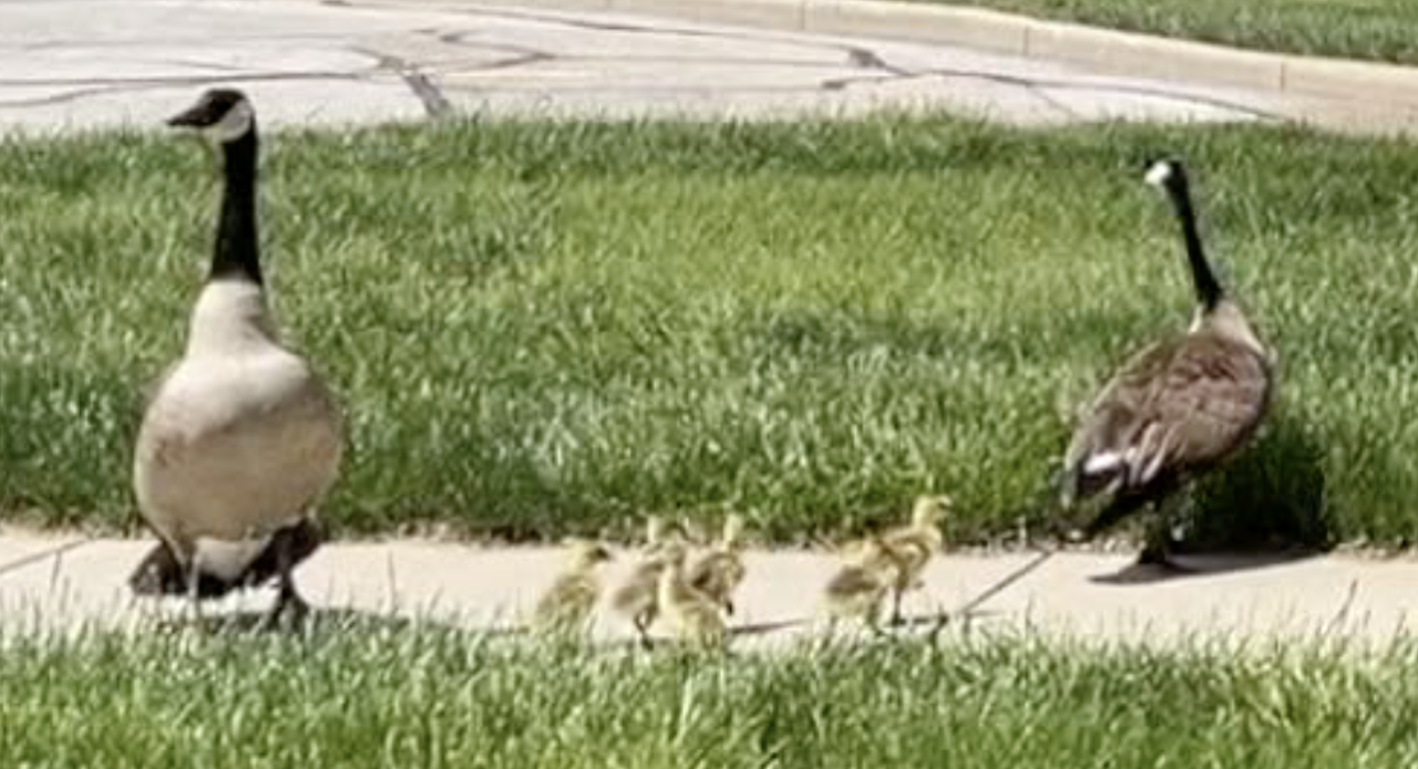 Screen Shot 2024-04-19 at 7.40.19 PM.png