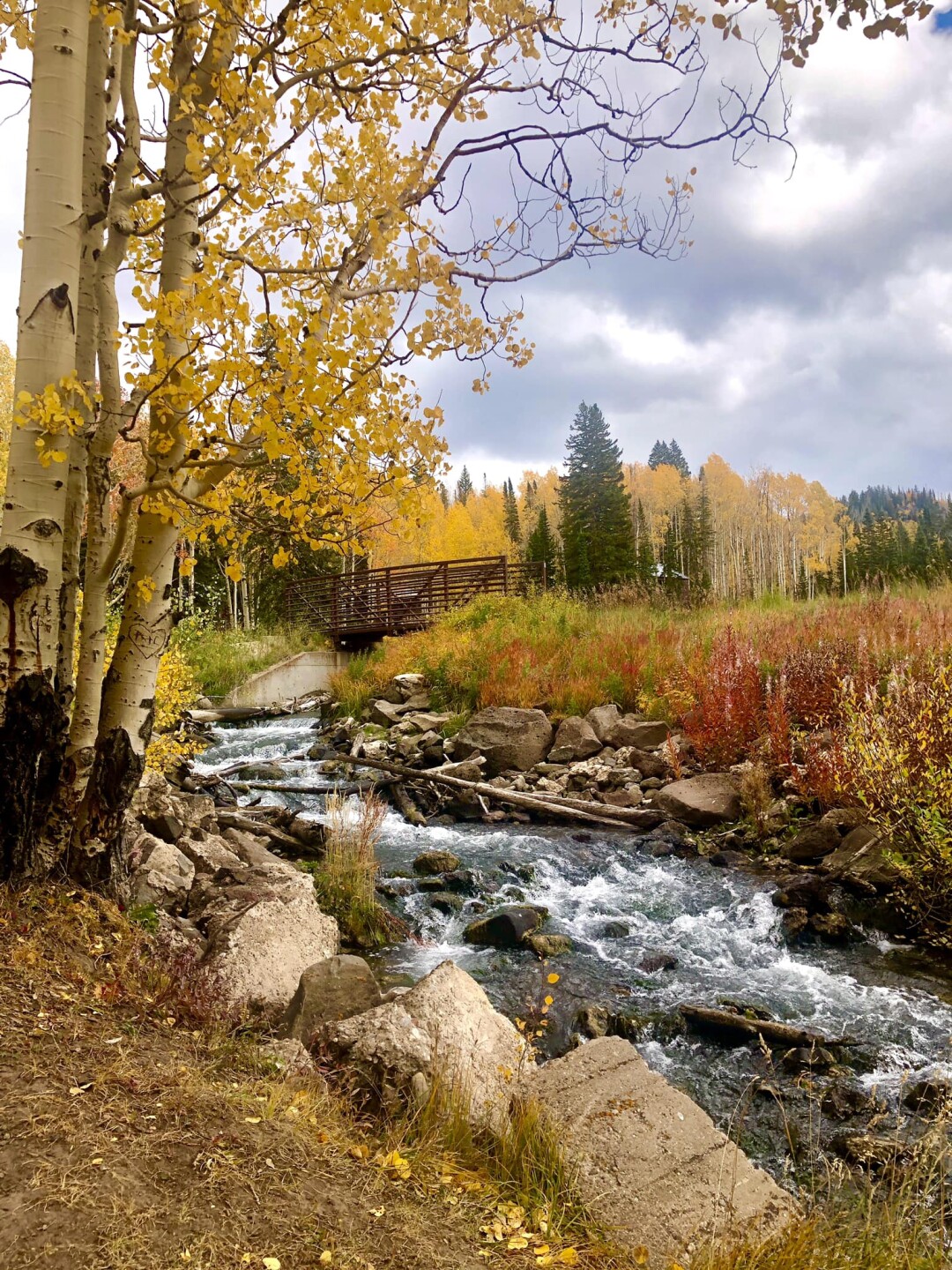 10 - Tammy Blanchette - grand mesa.jpg