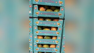 Photo of recalled mangos from Panorama Produce.