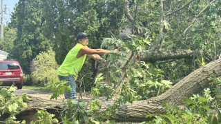 Appleton storm damage