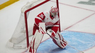 Red Wings Avalanche Hockey