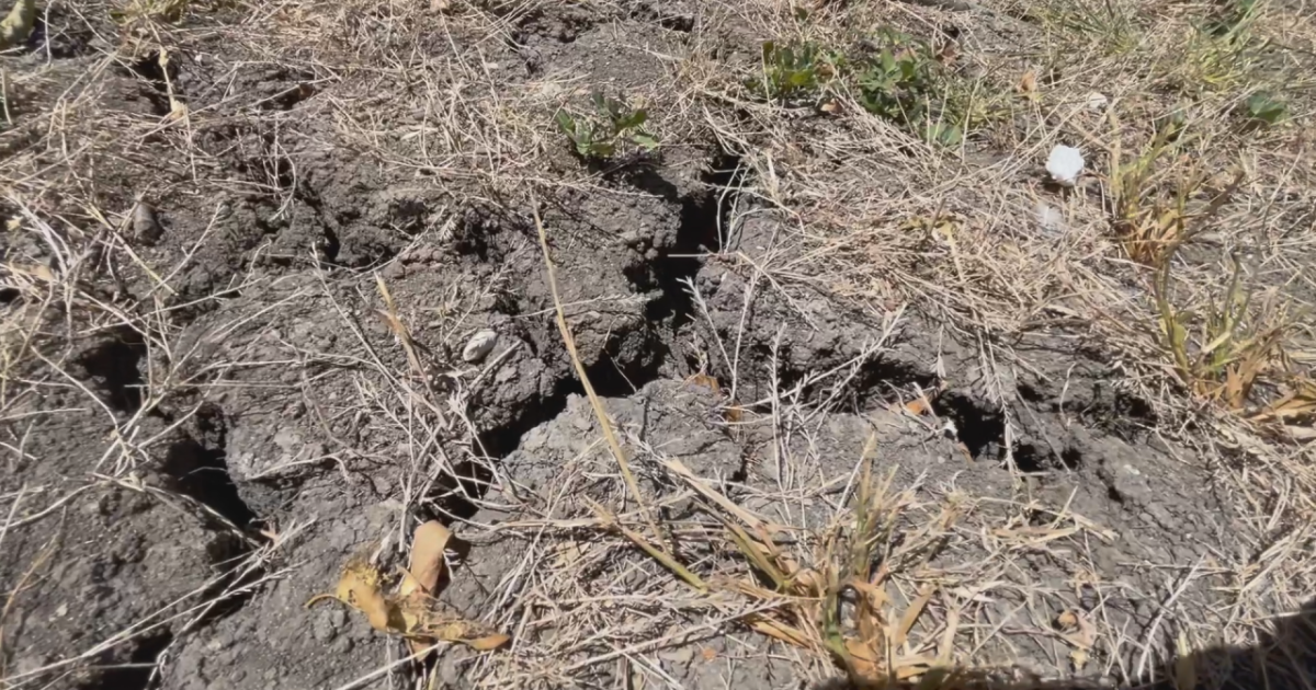 Ground cracking caused by Texas drought could lead to costly home repairs - Vimarsana News
