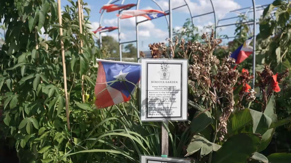 Screenshot 2025-10-06 at 11.15.02 PM.png