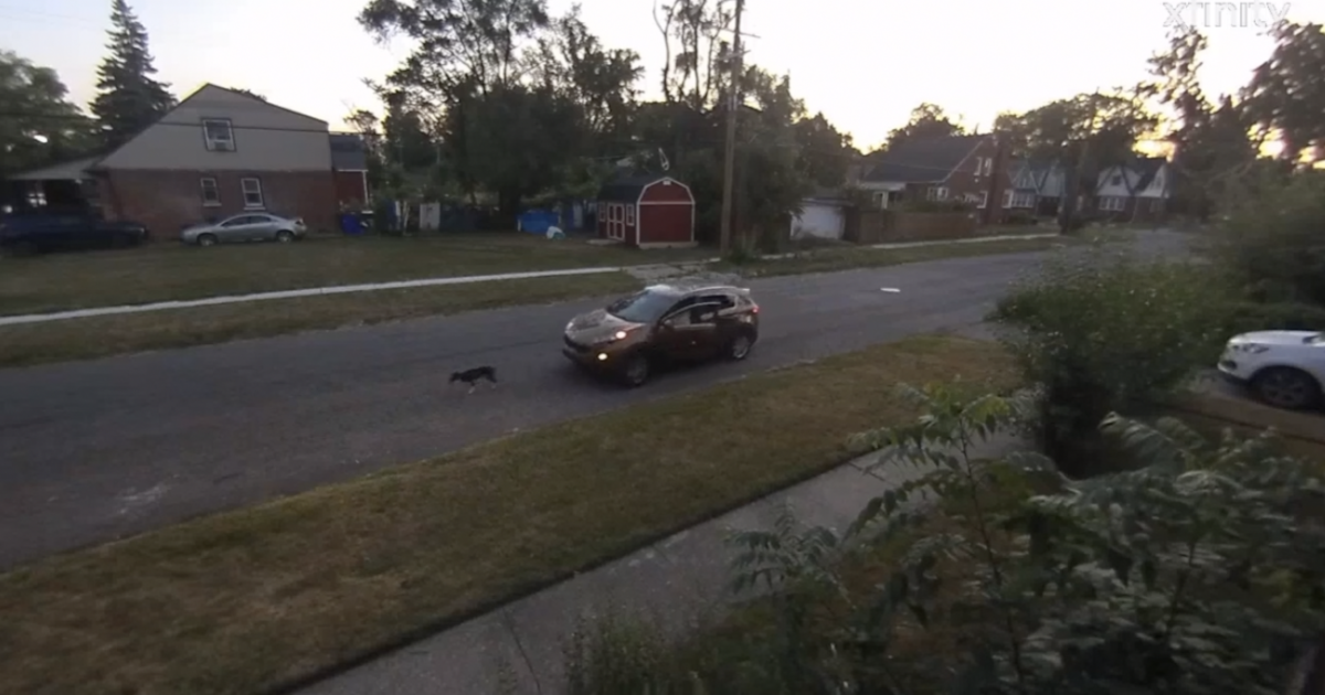 Detroit woman’s dog killed after driver intentionally runs over animal, police say Detroit woman’s dog killed after driver intentionally runs over animal, police say