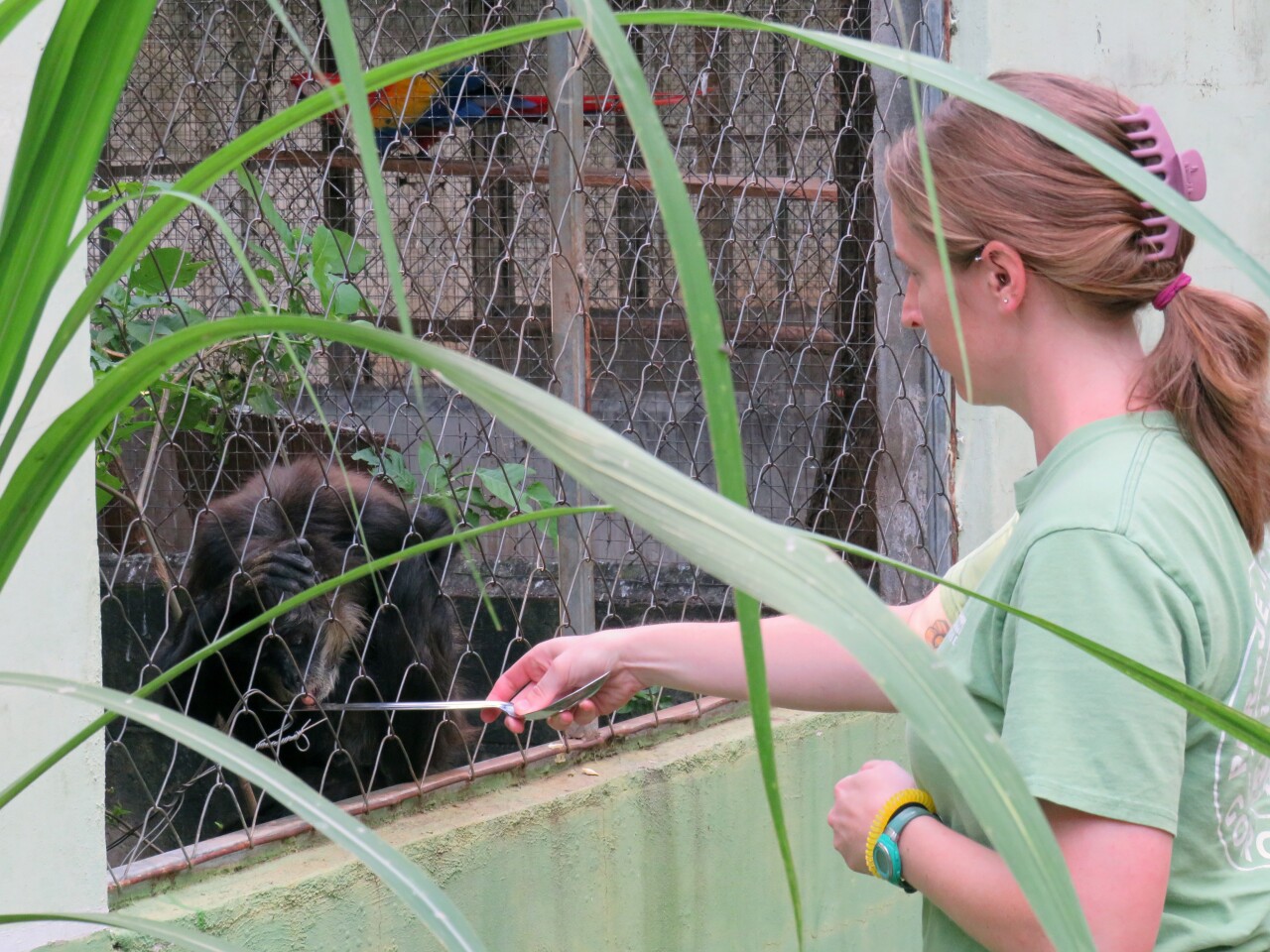 Zoo Boise El Salvador Spider Monkey Training