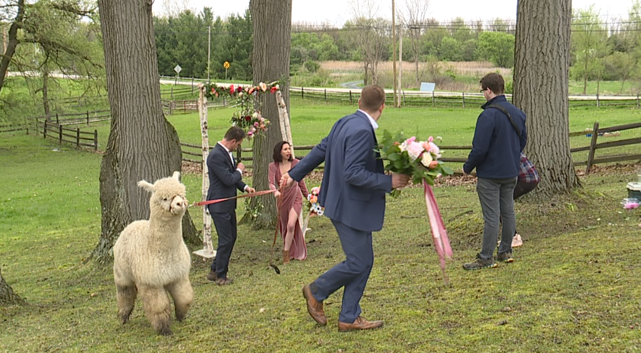 Screen Shot 2019-06-11 at 9.06.36 AM.png