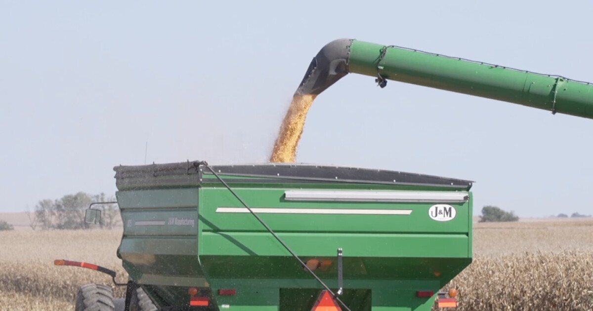 Iowa, Nebraska lawmakers continue push for year-round E15 as farm economy sputters