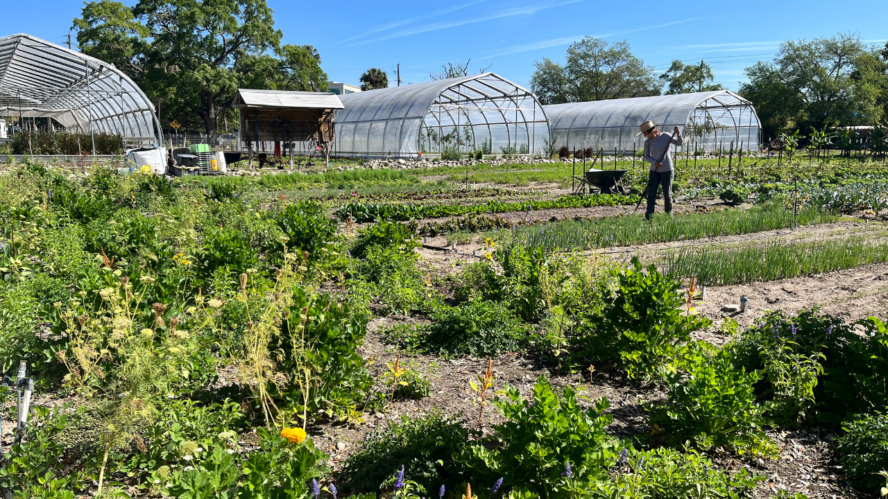 MEACHAM URBAN FARM 1 stassy olmos.png