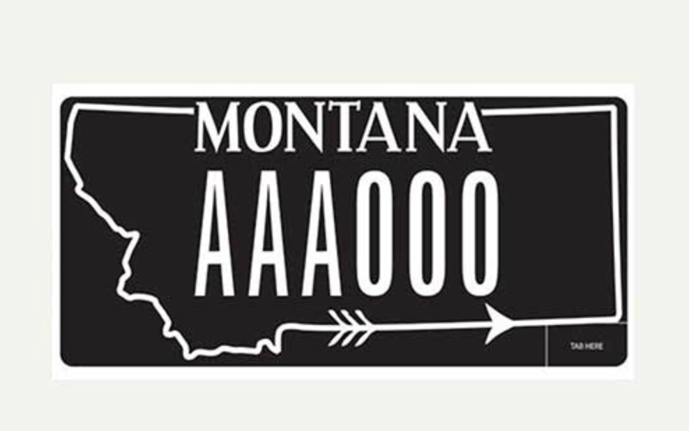 One Heart Warriors specialty license plate