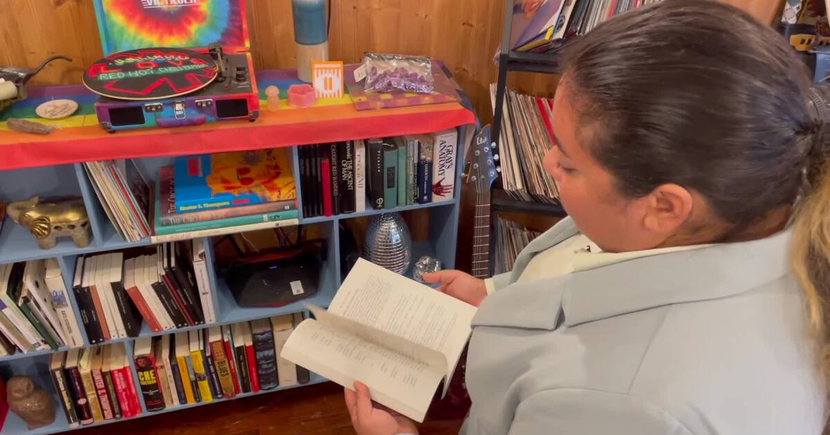 CCISD library advisory to help shape book access, advocates worry