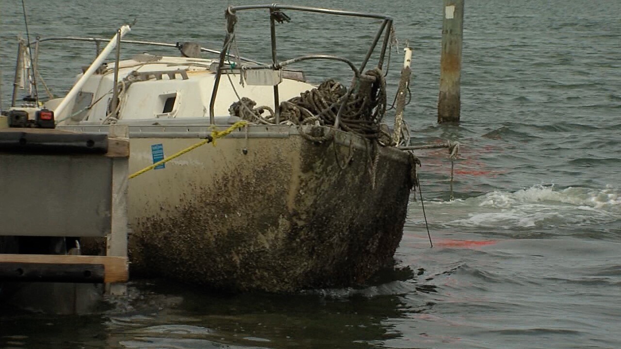 Crews in Clearwater work to remove derelict boats from waterways - ?url=http:%2F%2Fewscripps Brightspot.s3.amazonaws.com%2F68%2Fe7%2FeD9590394D45968b46D7947916cc%2FsubmergeD Boats Clearwater 3 Crews in Clearwater work to remove derelict boats from waterways - ?url=http:%2F%2Fewscripps Brightspot.s3.amazonaws.com%2F68%2Fe7%2FeD9590394D45968b46D7947916cc%2FsubmergeD Boats Clearwater 3