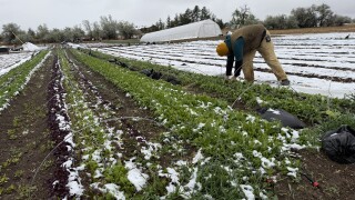 Adam Jones longmont farm outdoor snow