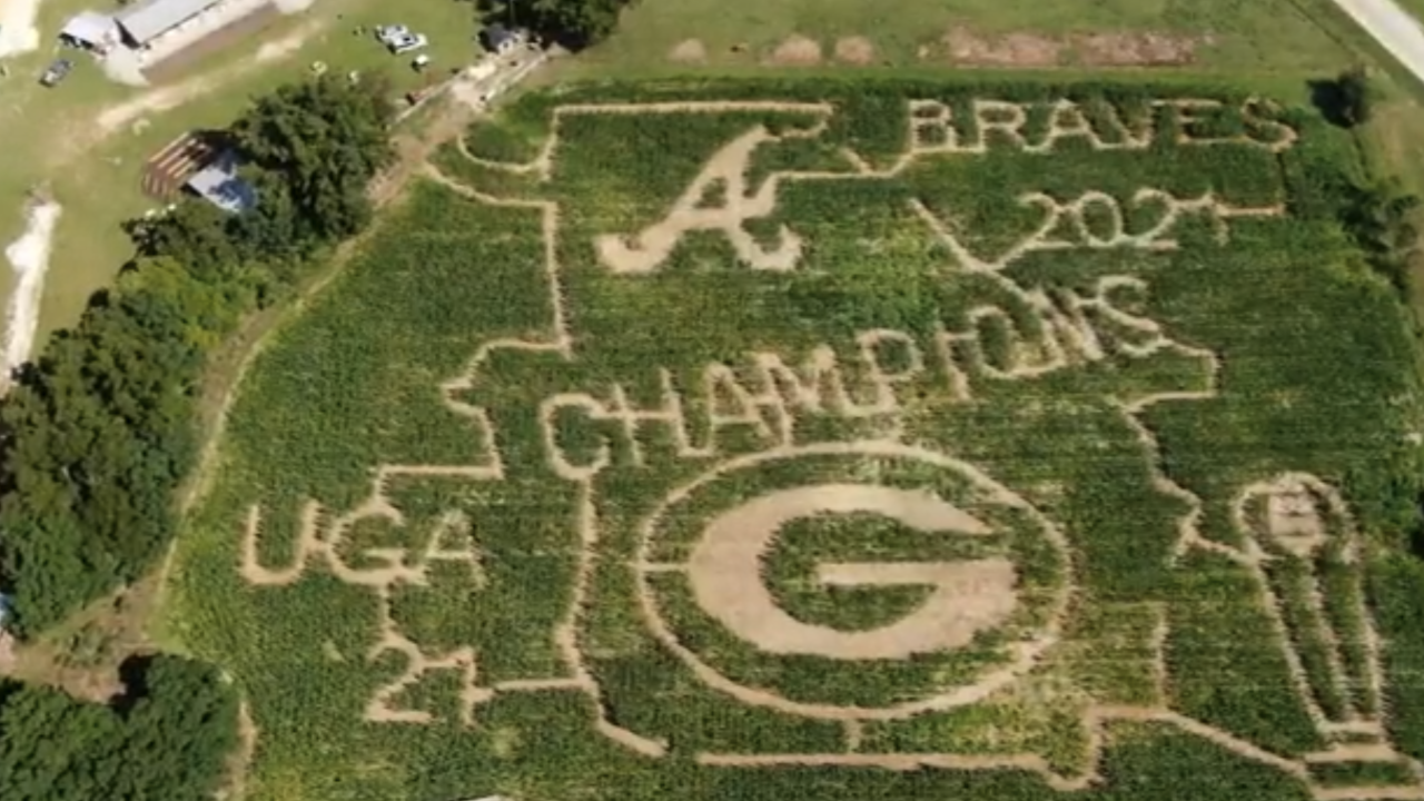 corn maze braves augusta georgia