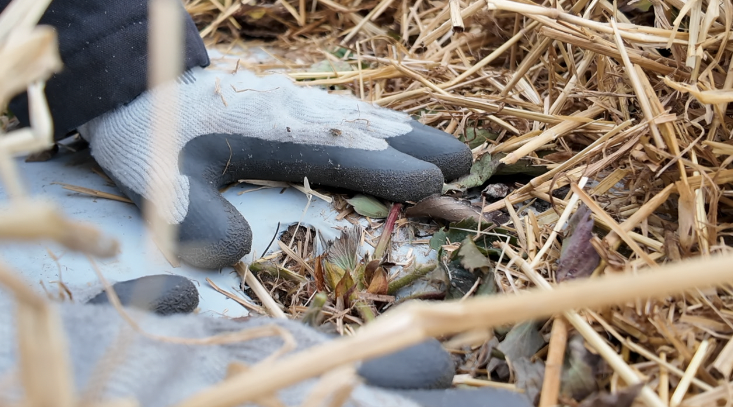 Screenshot 2026-02-05 at 5.11.02 PM.png