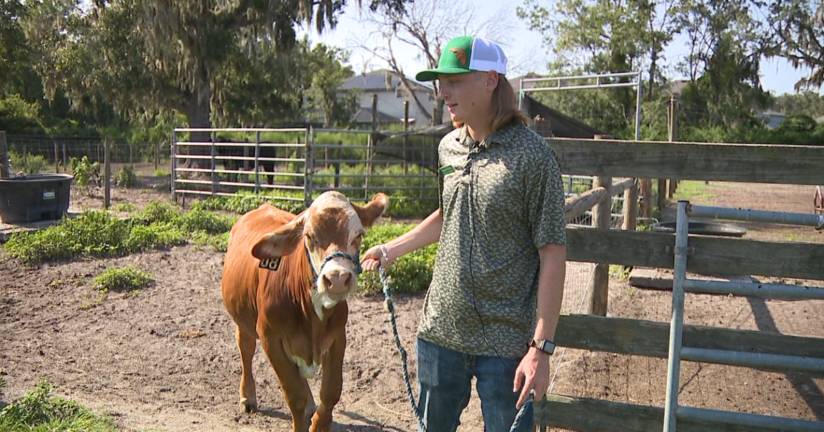 Hillsborough County hosts 4-H open house for students - Vimarsana News