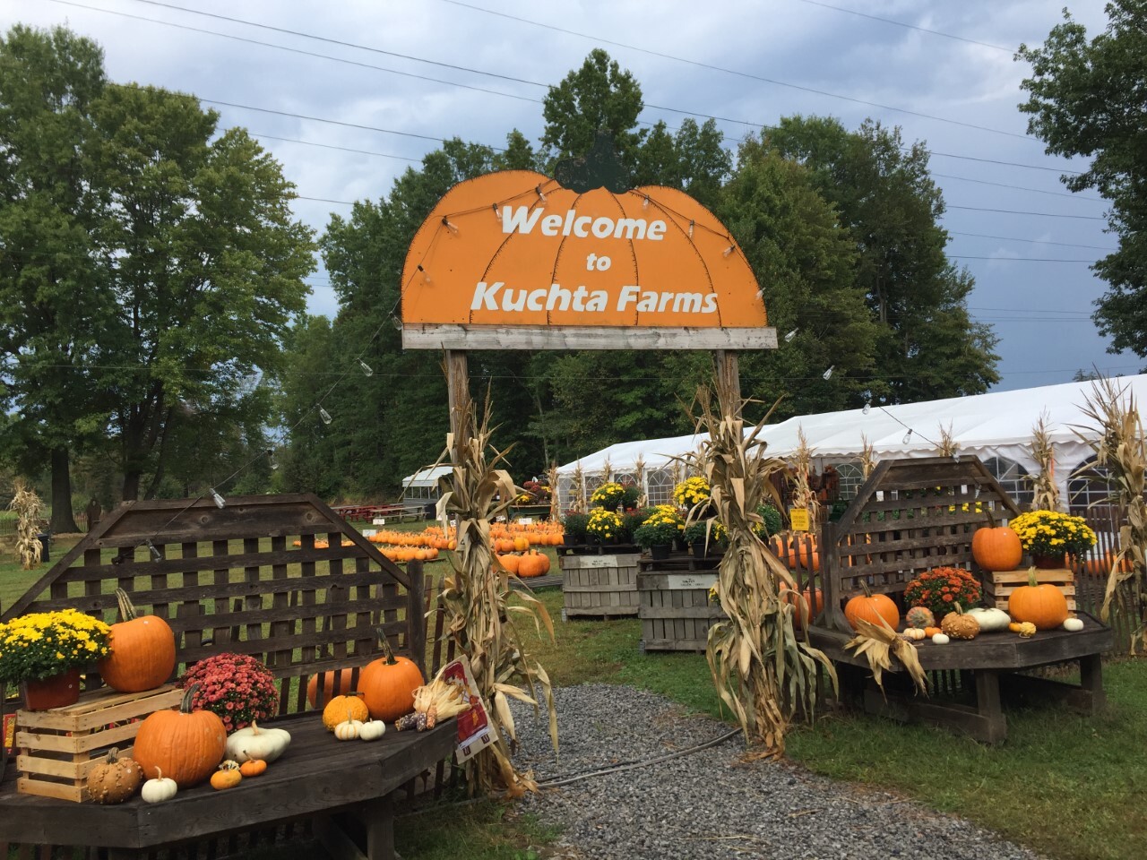 Kuchta Farms.jpg