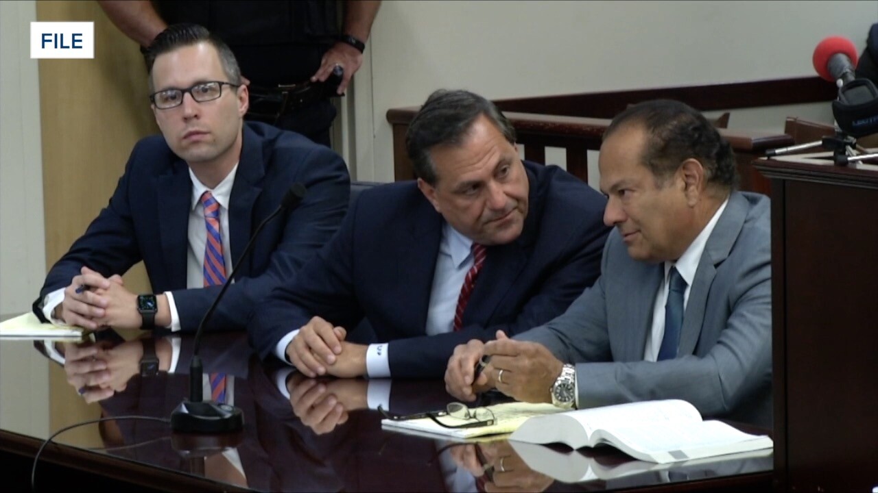 pastpigeon cases.jpg