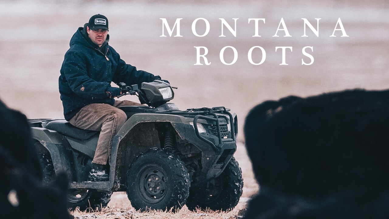 Troy Andersen 16x9 3.jpg