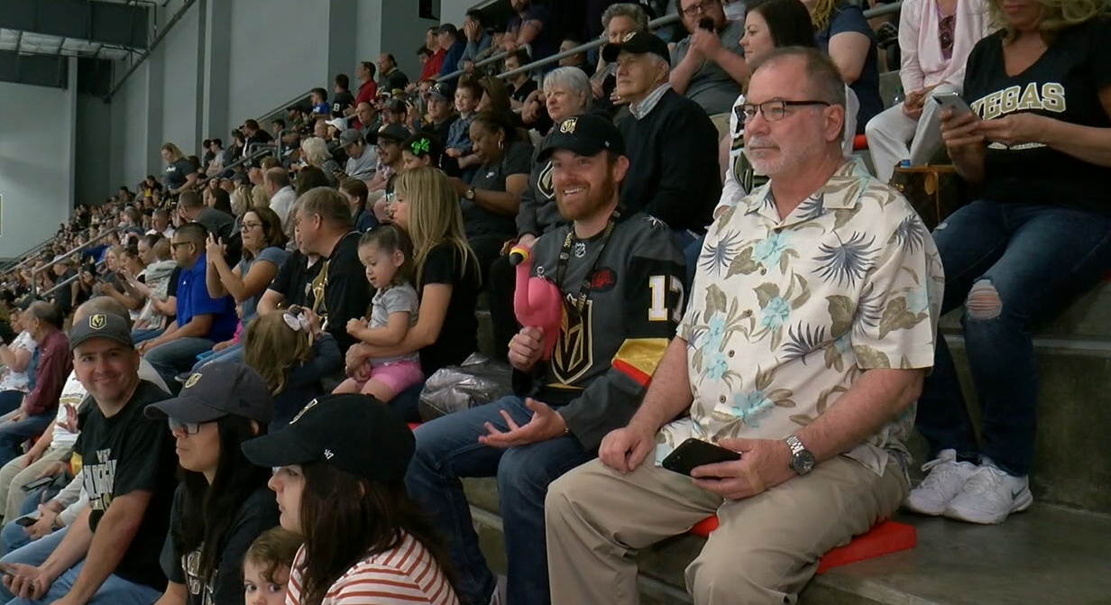 Plastic flamingos now fill the ice rink when the Vegas Golden Knights play, we talk to the fan who started it all.