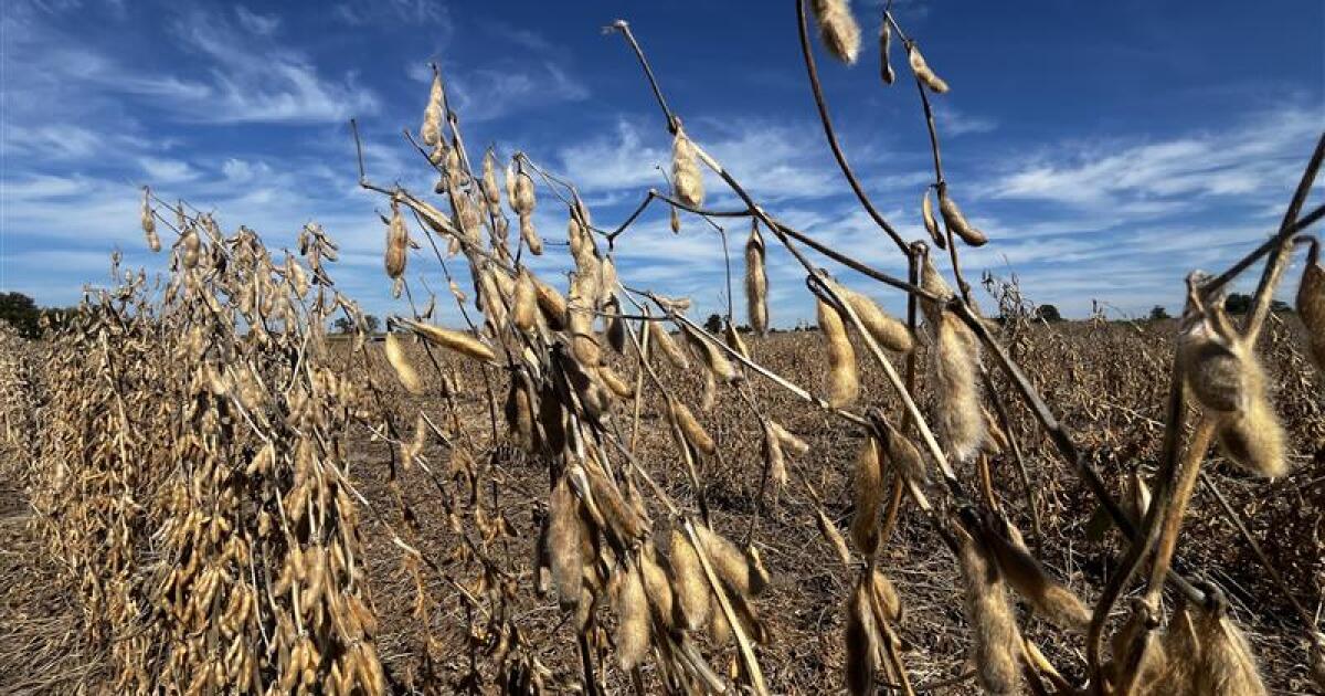 Farmer Bridge Program opens $12B relief for farmers, with deadline this Friday