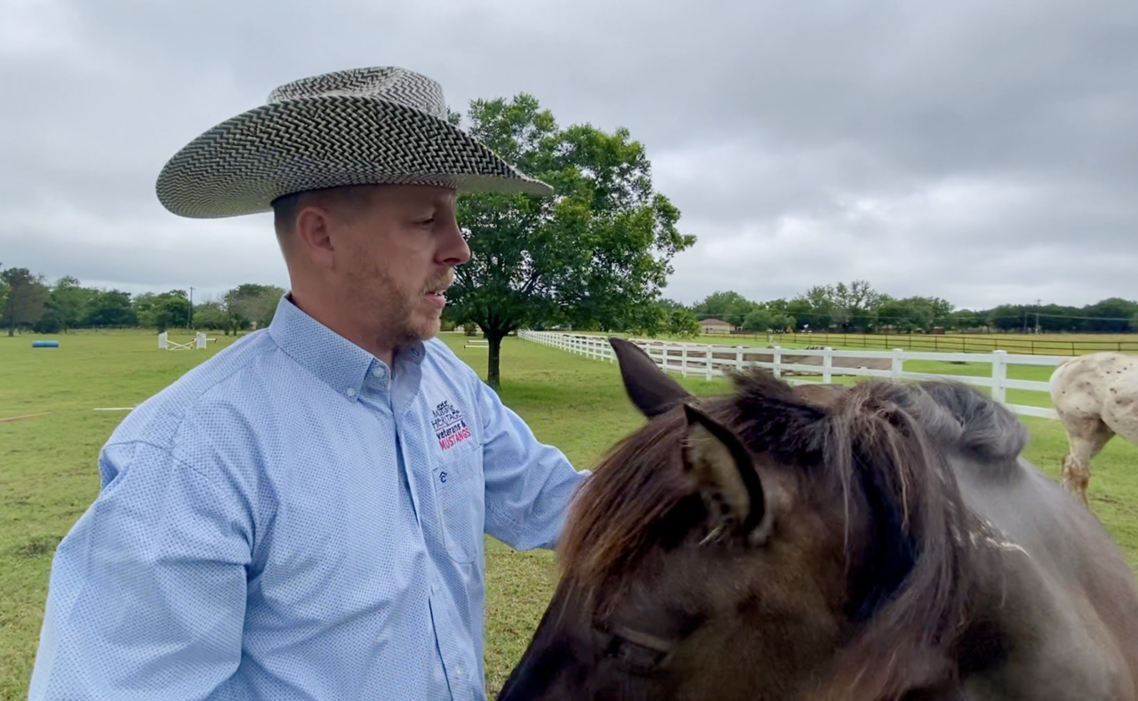 Screen Shot 2021-06-02 at 10.46.41 AM.png