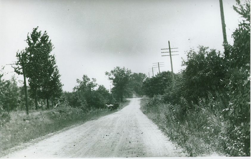 Clyde Park Avenue looking south towards old Beals Road (28th Street) with the buggy turning in where Fruit Basket Flowerland will be some day. The exact year of this photo is unknown..jpg
