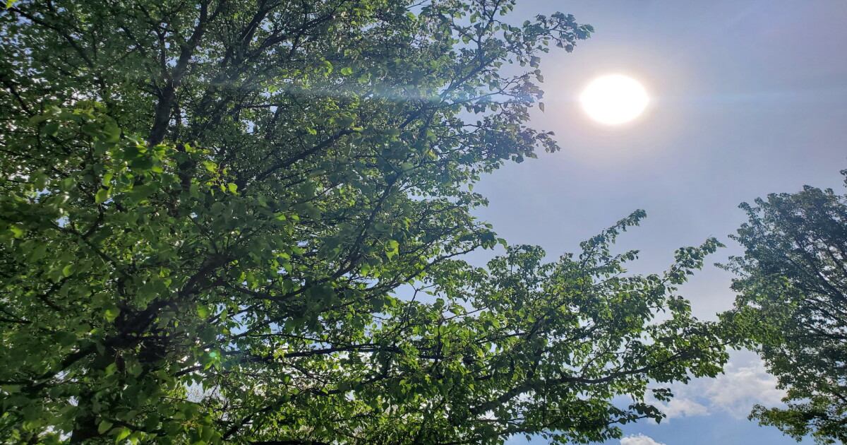 Warming Back Up, Along with Storm Chances