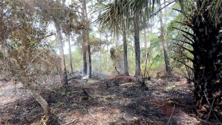 A small brush fire — about a quarter acre — broke out before sunrise just feet from busy U.S. Highway 1 in Hobe Sound on May 11, 2026.
