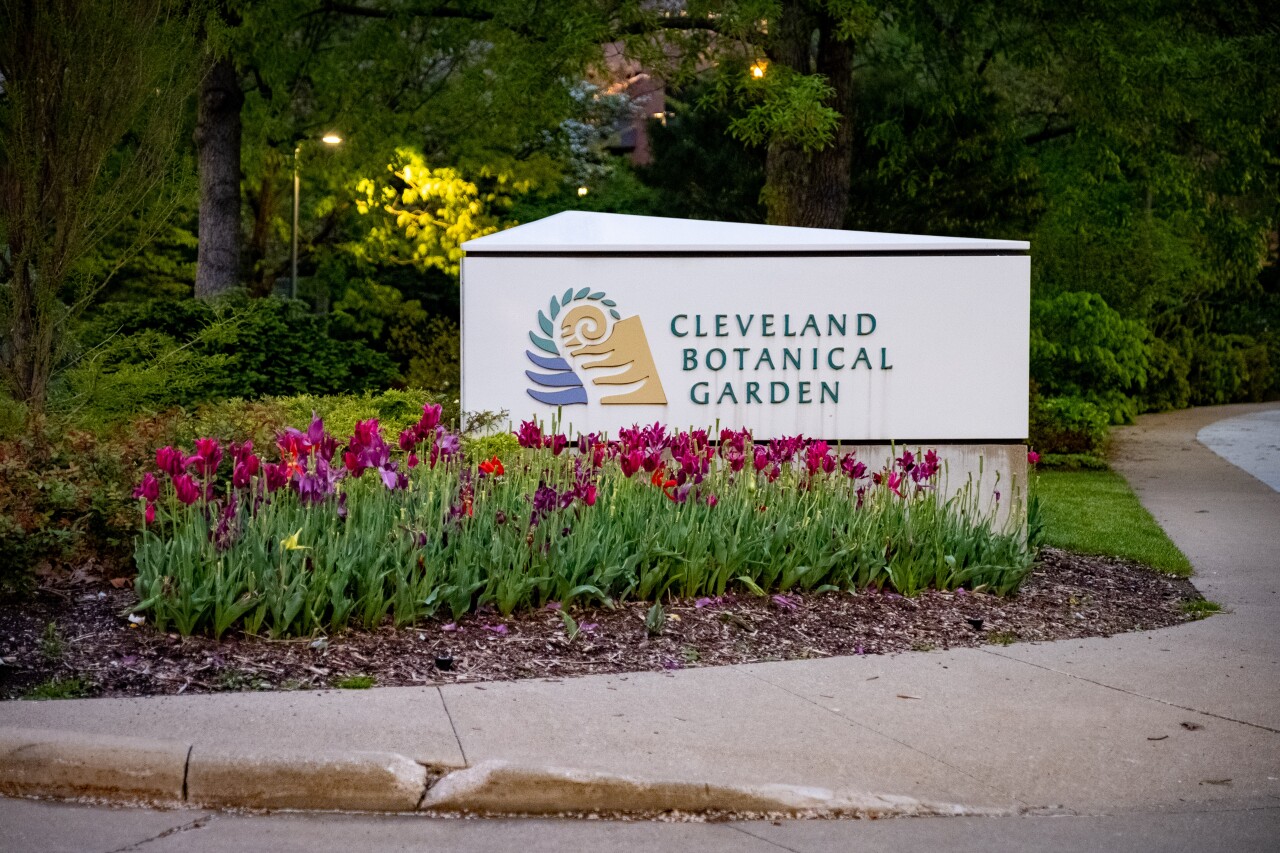 Hidden Gems - Botanical Garden.jpg