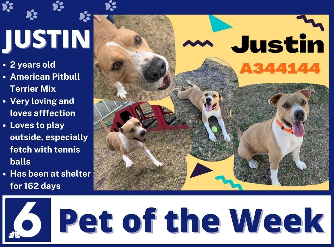 Copy of Pet of the Week _Justin.jpg