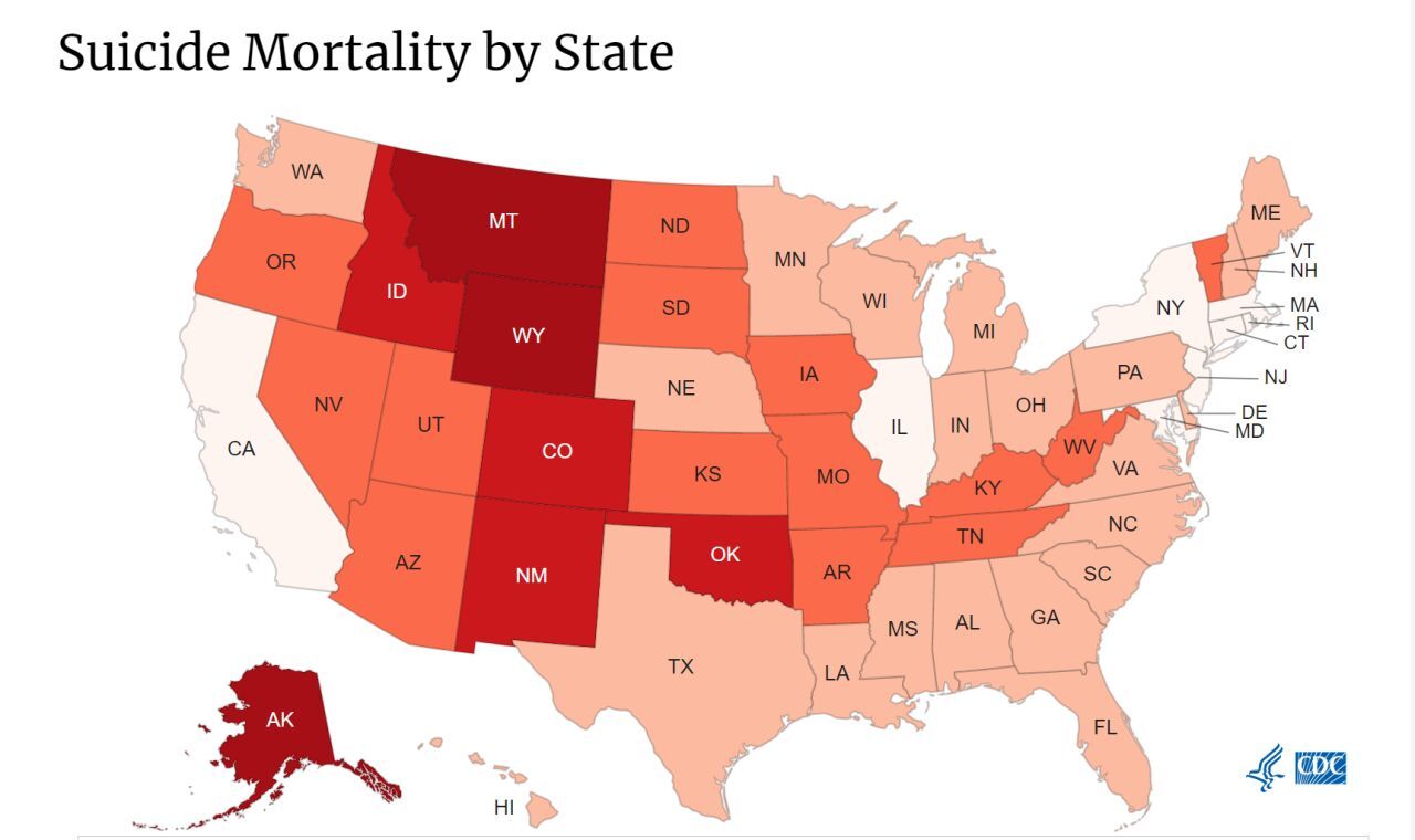 Suicide Rate by State