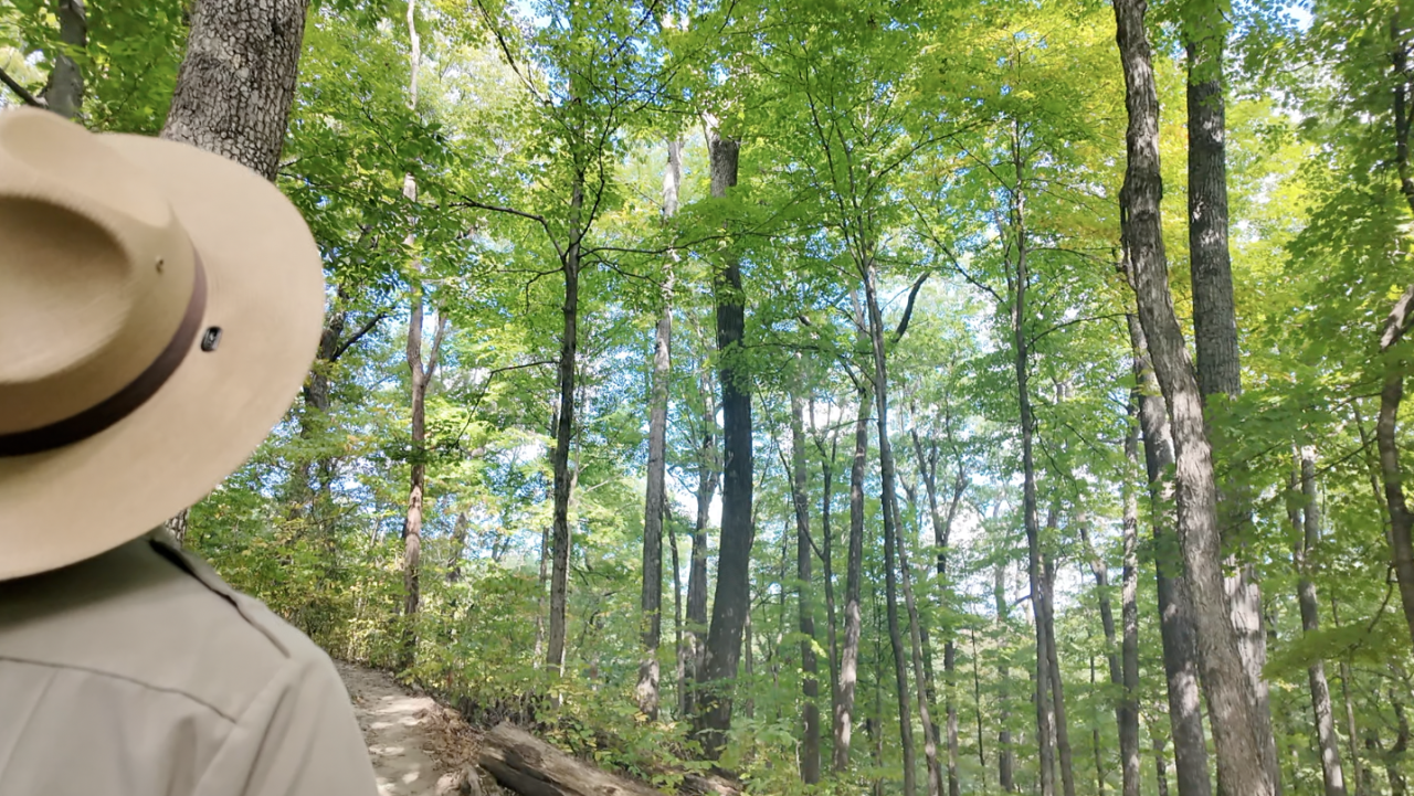 Screenshot 2025-10-03 at 5.41.19 PM.png