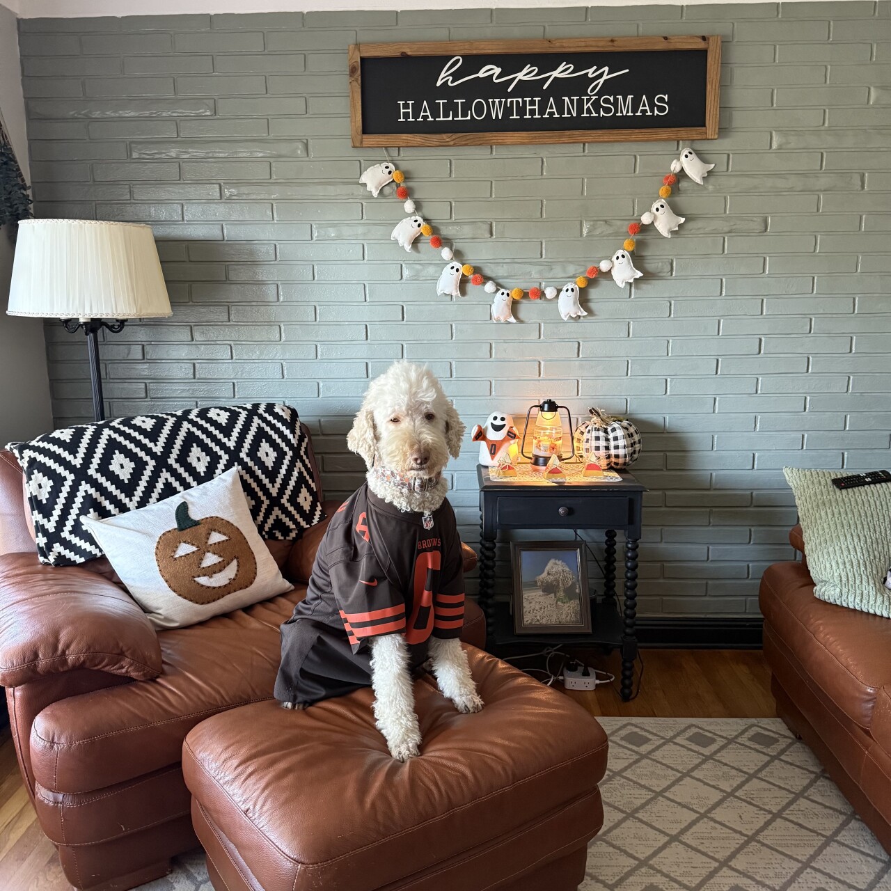 Dog Walking Forecast