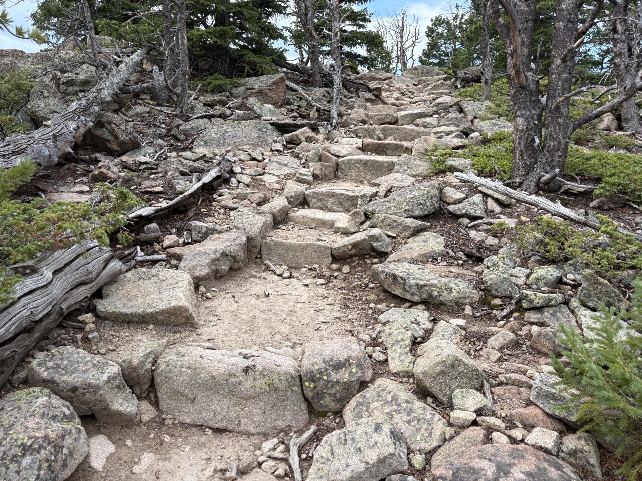 Deer Mountain in RMNP_Deb Stanley
