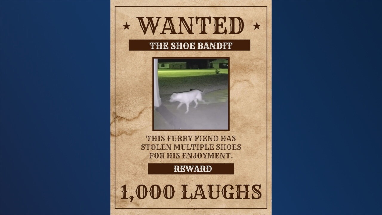 Wanted Poster for the St Mark's Shoe Bandit