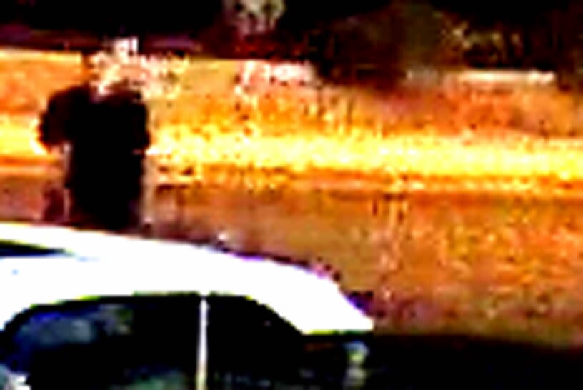 Suspect David Denogean murder