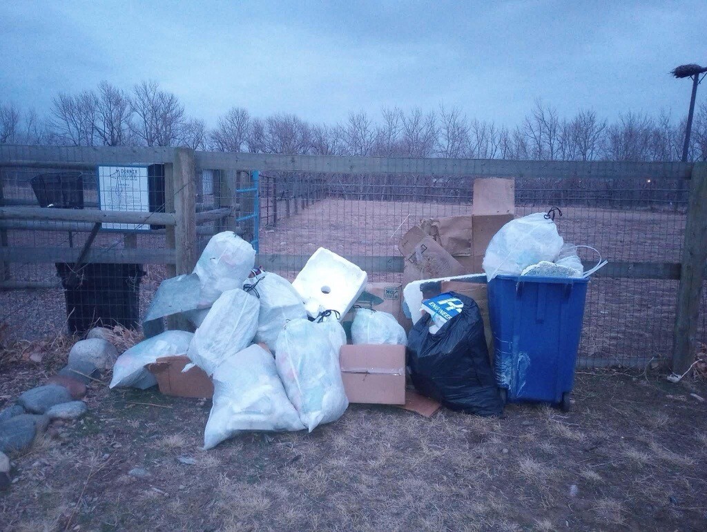 Image - 2026-01-25T180210.453.jpeg