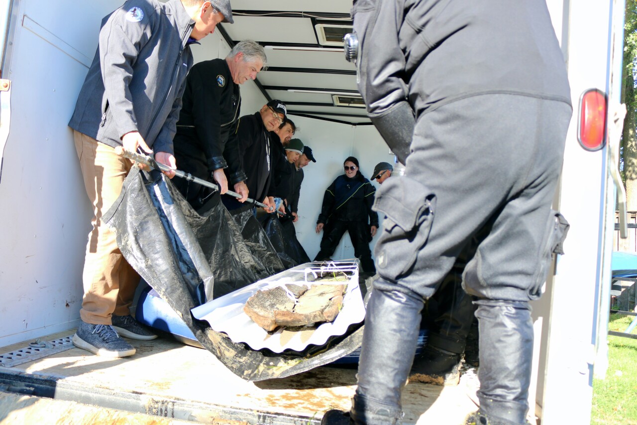 MicrosoftTeams-image (17).png