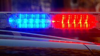 GENERIC POLICE LIGHTS 2.JPG