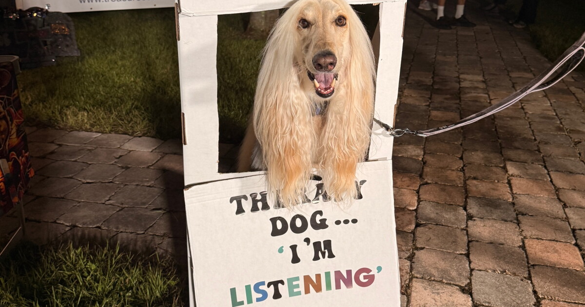 Free Responsible Dog Ownership Day in Fort Pierce Saturday aims to ease shelter overcrowding