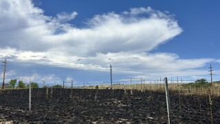 Airport Fire in Douglas County