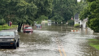 FloodedCars.jpeg