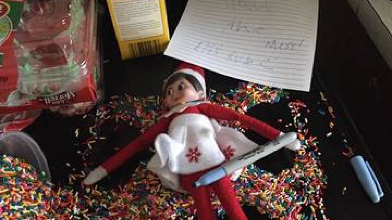 2016 Elf on the Shelf Photos & Ideas