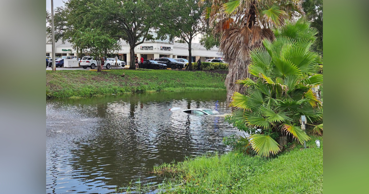 Clearwater officers rescue woman from sinking car after crash into pond
