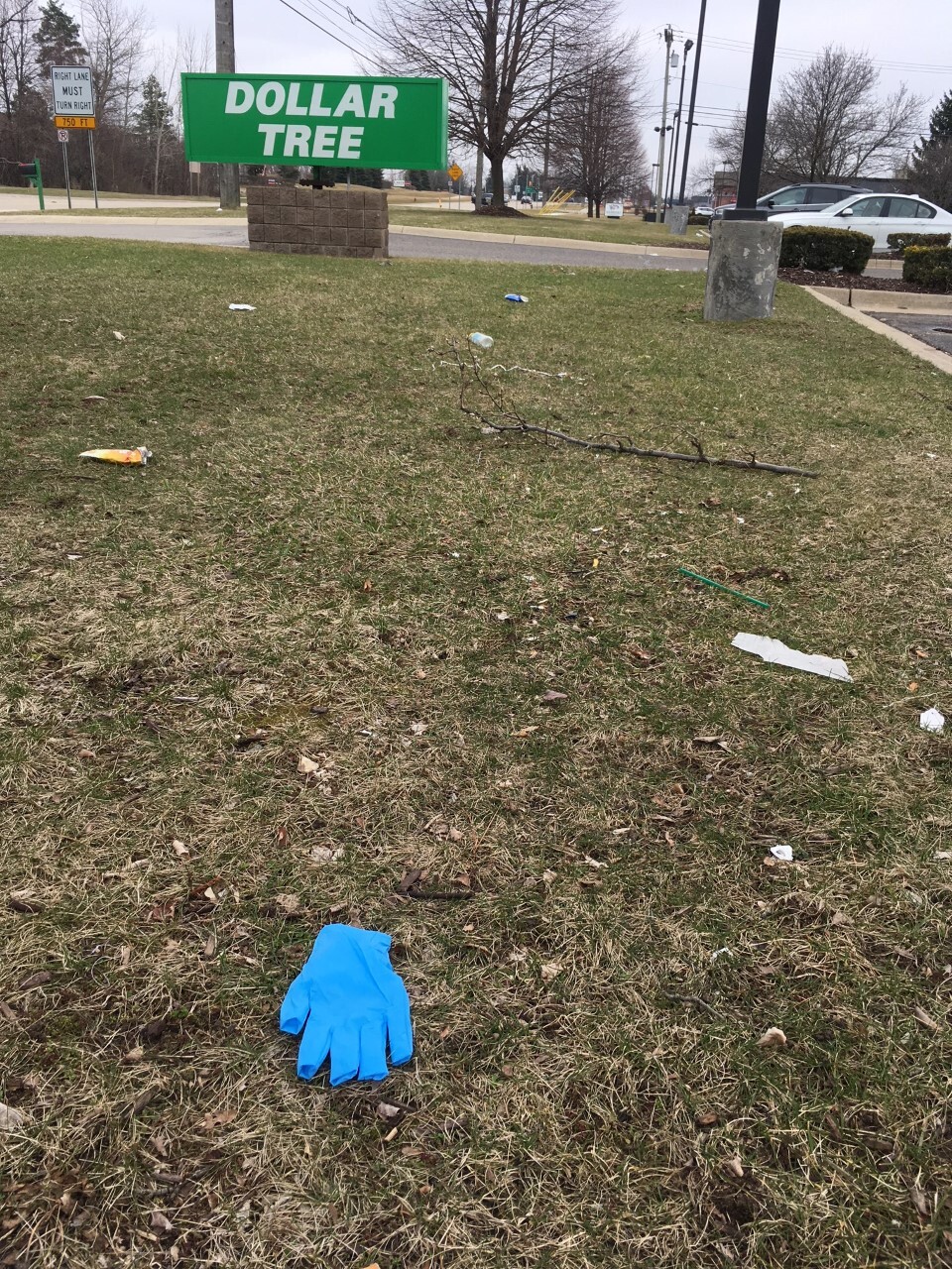 Dollar Tree gloves3.jpg