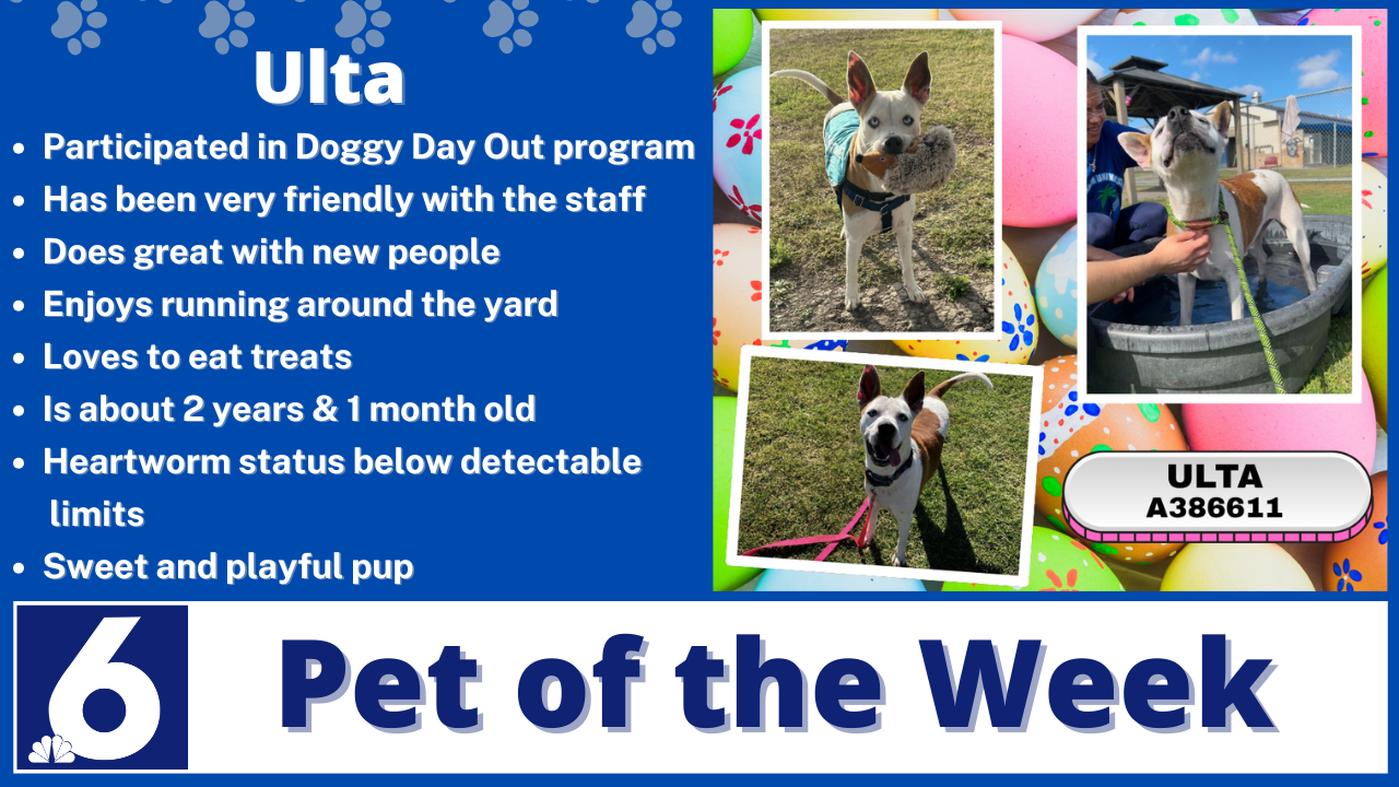 Pet of the week Ulta